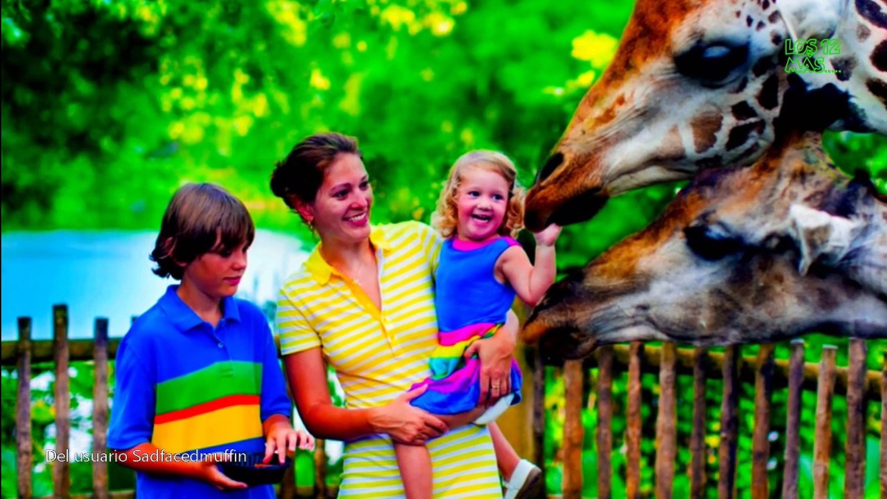 Extrañas Historias Contadas en Reddit (Parte 3)