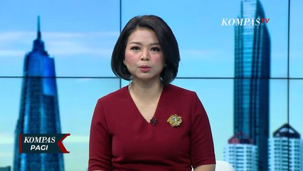 Diduga Kelaparan, Kawanan Monyet Ekor Panjang Masuk ke Permukiman Warga di Pluit