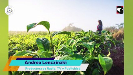 3 Miradas: Andrea Lenczinzki Productora de Radio, TV y Publicidad