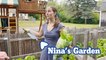 Nina's Garden (2022) | Juntin' Around Outdoors