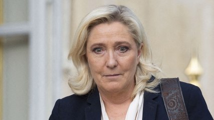 La jeune élue EELV, Pauline Rapilly-Ferniot, est venue perturber l'arrivée des députés RN à l'Assemblée nationale