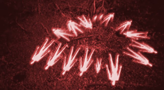 Temple solaire, l'enquête impossible : le coup de coeur de Tele7