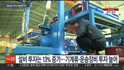 5월 산업생산·투자 반등…소비는 석 달째 감소