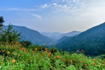 Scenic Beauty In Paderu, Araku: వానాకాలం మొదలైంది, విశాఖ మన్యం అందాలు రెట్టింపయ్యాయి| ABP Desam