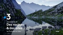 Des racines et des ailes (France 3) les Pyrénées au cœur