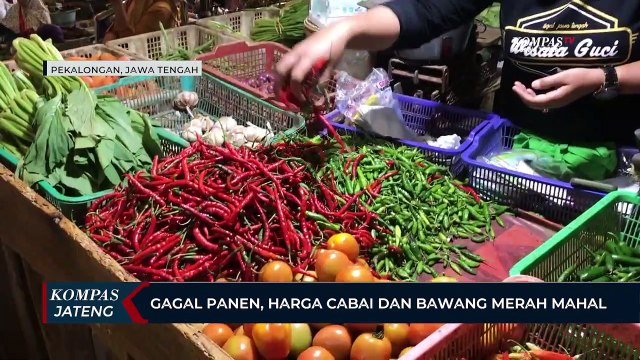 Gagal Panen, Harga Cabai dan Bawang Merah Mahal
