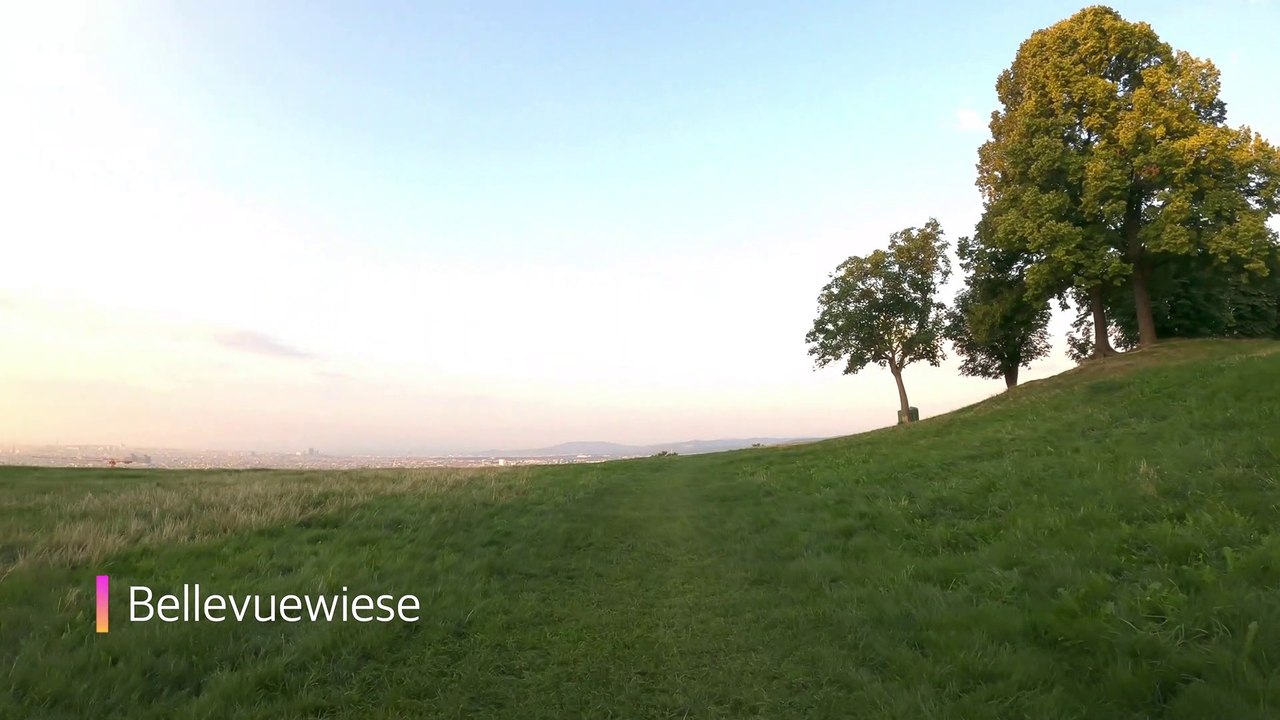 Wien Döbling am Rad: Bellevuewiese frühmorgens