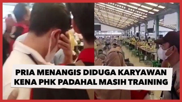 Viral, Pria Menangis Diduga Karyawan Korban PHK Padahal Masih Berstatus Training