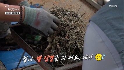 자연인 표 재래식 모기 퇴치법! 호강하는 염소들♥