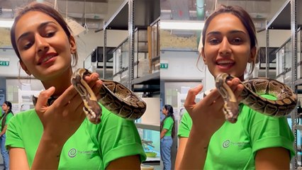 Tv Actress Erica Fernandes Snake के साथ खेलते Video Viral,गले में डालकर।Boldsky *Entertainment