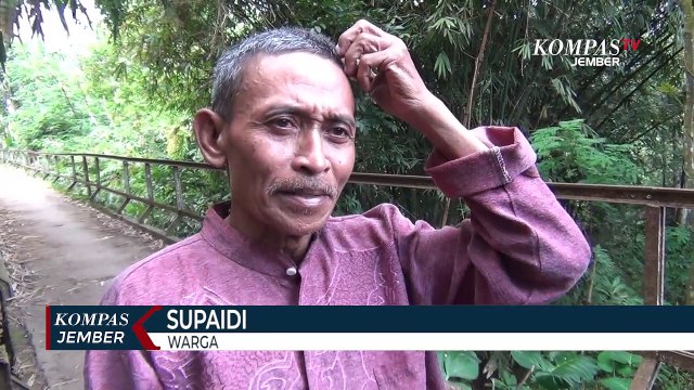 Bangkai Sapi Dibuang di Sungai, Diduga Mati Terjangkit PMK