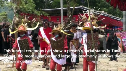 Tana Toraja Culture