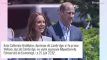 Le prince William complètement hors de lui, cette vidéo devenue virale