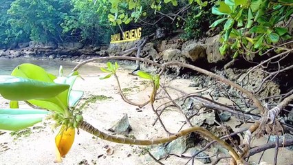Pantai Pasir Putih BANYU MENENG"Malang#wisata#pantai#indonesia