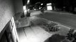 Imagens de câmeras de segurança registram ação de dois ladrões que arrombaram loja no Bairro Coqueiral