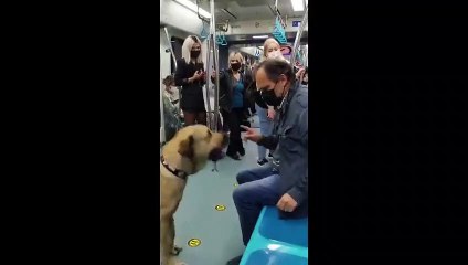 Boji sosyal medyada tartışma başlattı