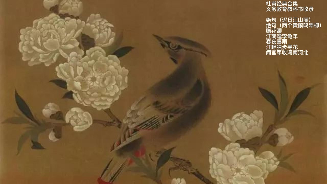 【唐诗】杜甫 经典合集（含注解）