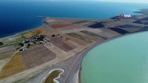 Arin Gölü yok olma tehlikesiyle karşı karşıya