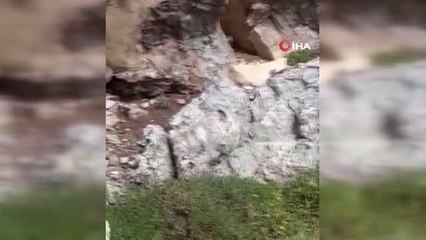 Elazığ'da kayalıklar arasında 2 metrelik yılan görüntülendi