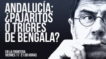 Juan Carlos Monedero: Andalucía, ¿pajaritos o tigres de bengala? - En la Frontera, 17 de junio de 2022
