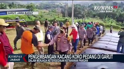 Lima Hektar Lahan Tak Produktif Akan Ditanam Kacang Koro