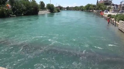 Son dakika haberi: Boğulmaların önüne geçmek için kanala giren dalgıç polisler yüzen çocukları tek tek çıkarıp uyardı