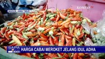 Harga Cabai di Aceh Capai 105 Ribu per Kg, Pedagang Keluhkan Omzet yang Terus Turun!