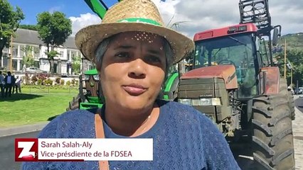 Sarah Salah-Aly : "C'est aujourd'hui ou jamais"