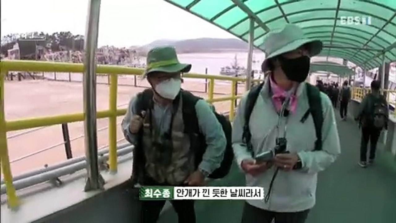 이것이 야생이다 3 - 괭이갈매기, 전쟁과 평화_#001