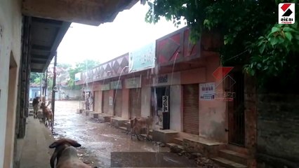 દેવભૂમિ દ્વારકા જિલ્લામાં વરસાદ જામ્યો