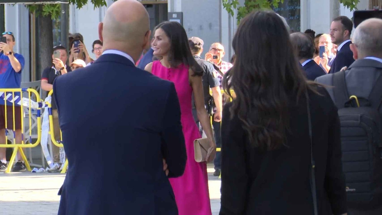 La reina Letizia impacta de rosa con los 'consortes' de la OTAN en el Teatro Real