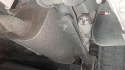 Otomobilin çamurluğuna sıkışan kedi böyle kurtarıldı