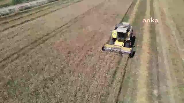 Tmo, Buğday ve Arpa Alım Fiyatlarını Artırdı