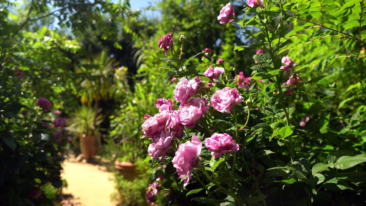 Les Incontournables : Rendez-vous au Festival International des Jardins de Chaumont-sur-Loire