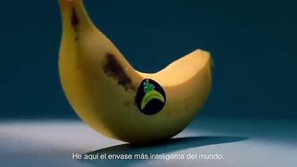 Anuncio del Gobierno de España del plátano de Canarias