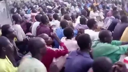 Nijerya'da 314 Boko Haram ve ISWAP üyesi teslim oldu