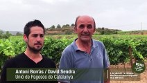 Presentación de la candidatura 'Viticultors del Cava' a las elecciones de la DO Cava