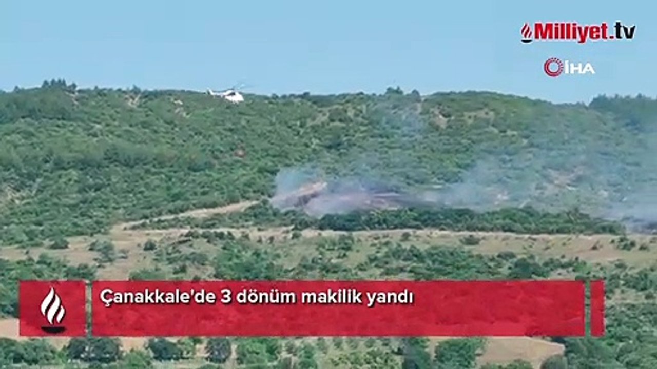 Çanakkale'de 3 dönüm makilik yandı