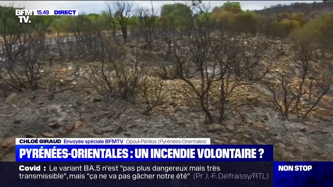 Incendie dans les Pyrénées-Orientales: les origines des départs de feu encore inconnues