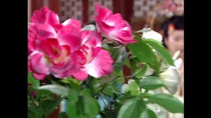 Hoài Ngọc Truyền Kỳ Tập 111 THVL1 lồng tiếng