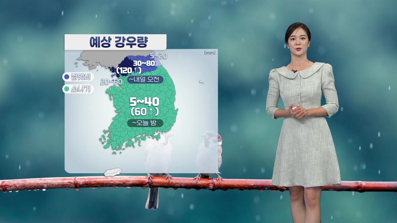 [날씨] 서울,경기 북부 120mm ↑ 장대비... 강원북부 호우경보 / YTN