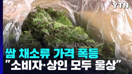 장마철에 더 치솟는 채솟값..."사는 사람도 파는 사람도  울상" / YTN