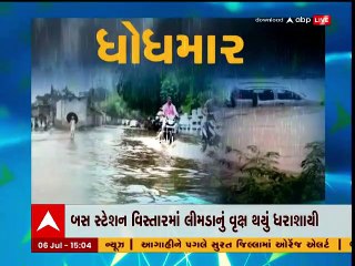Dahod : ફતેપુરામાં મહાકાય વૃક્ષ થયું ધરાશાયી, જુઓ વીડિયો