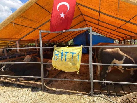 Kurbanlıkların büyük bölümü satıldı, satıcılar çadırlara 'Bitti' yazısı astı
