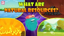 What Are Natural Resources? | Types Of Natural Resources | The Dr Binocs Show | Peekaboo Kidz
