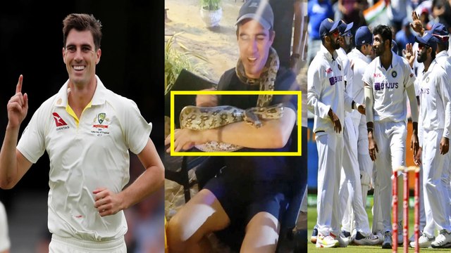 Pat Cummins ಗೆ ಹೆಬ್ಬಾವು ಕಂಡರೆ ಸ್ವಲ್ಪವೂ ಭಯವಿಲ್ಲ | *Cricket | OneIndia Kannada