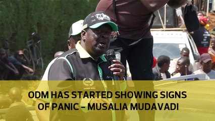 ODM has started showing signs of panic - Musalia Mudavadi