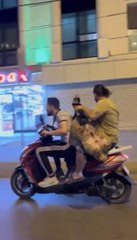 Şoke eden görüntü: Motosiklette koyun taşıdılar