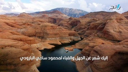شعر عن الجهل والغباء_ أجمل ما كتبه كبار الشعراء