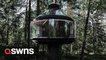 UFO-like treehouse appears in Finnish forest
